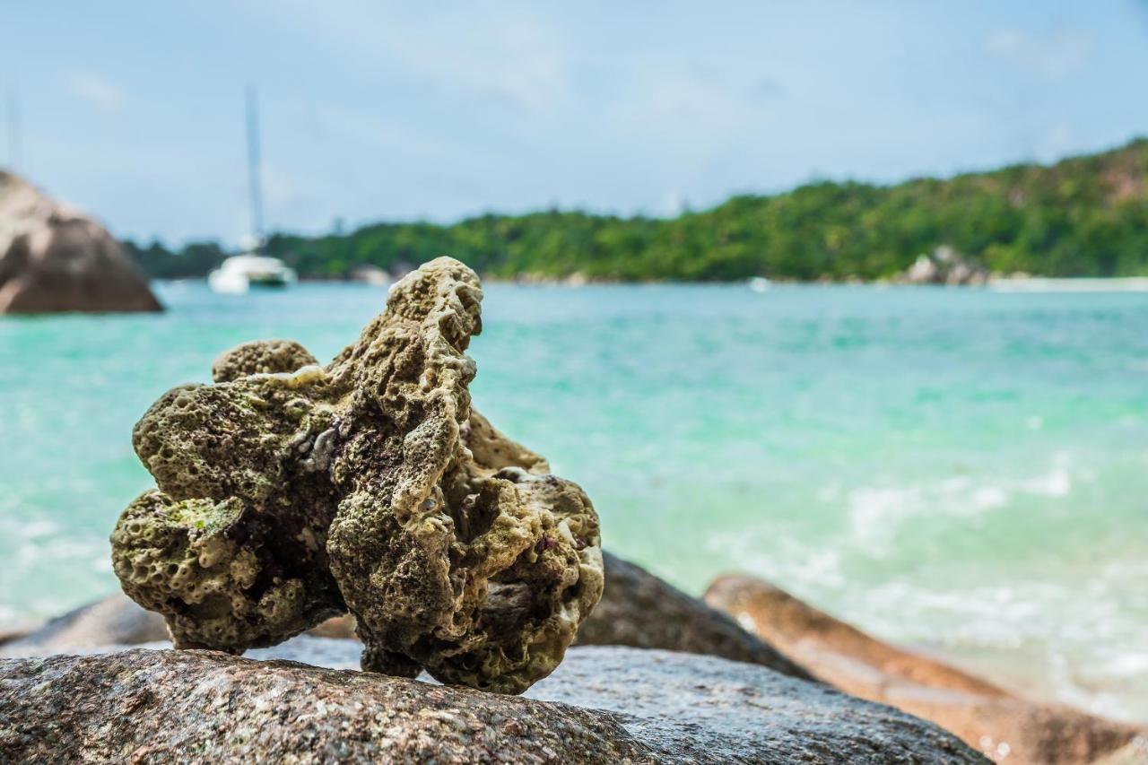 Lou Lou Bungalow Grand Anse  Kültér fotó